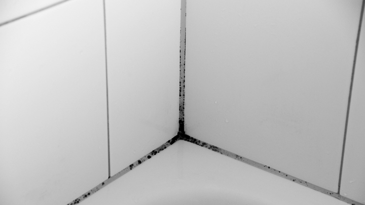 130116_mould_bathroom