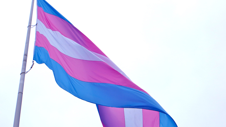 Transgender flag