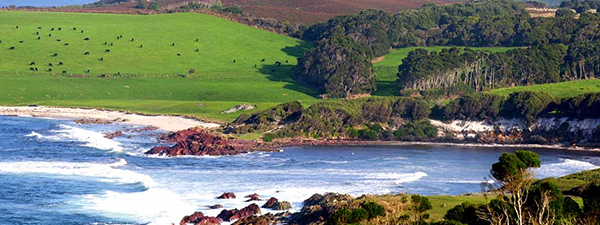 Lost Locations: Have you ever been to King Island? - Starts at 60