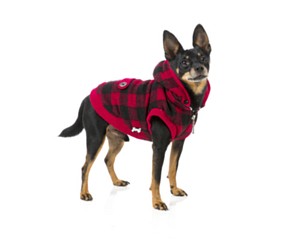 kazoo dog jacket