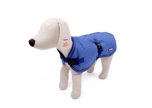 kazoo dog jacket
