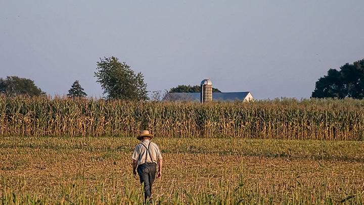 Farmer