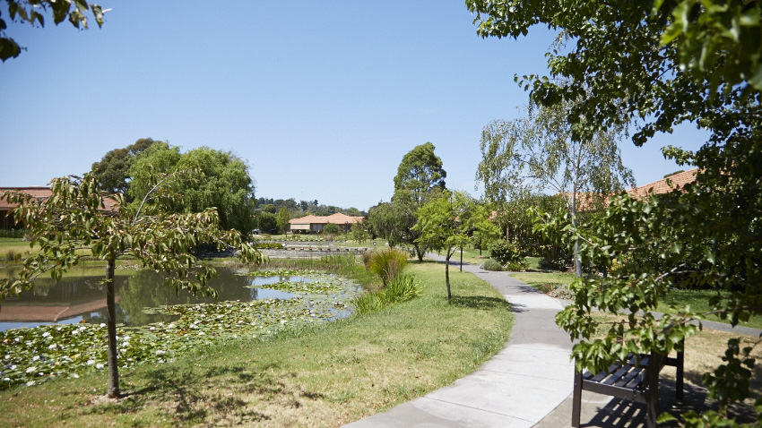 cherrytree retirement village cherrytree retirement village