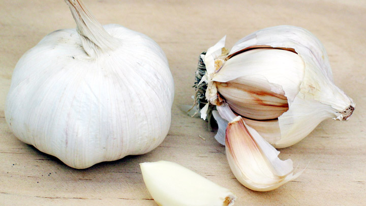 Garlic