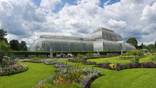 1280px-Kew_Gardens_Palm_House,_London_-_July_2009