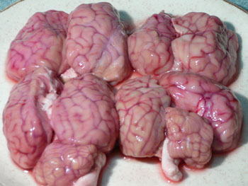 lambs-brains-with-bacon-recipe-ingredients1