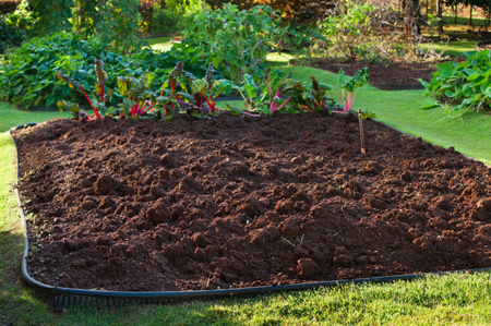 Freshly tilled garden ready to be planted.