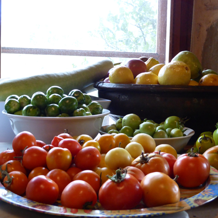 Tomatoes and fruit in bowls closer -  Dianne Michalk