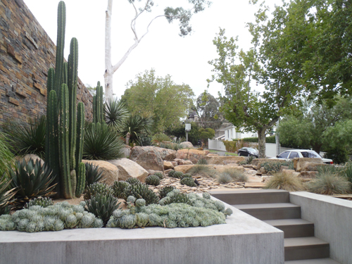 Inner Melbourne desert garden