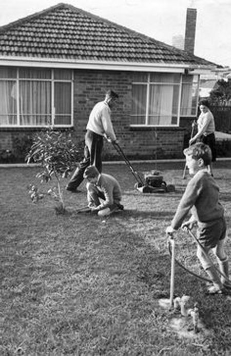 cutting grass