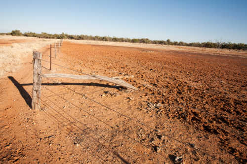 Outback Fence Line