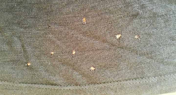 the-little-holes-at-the-front-of-your-shirts-are-not-moths-starts-at-60