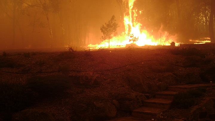 Victorian_2009_Bushfires_-_Steels_Creek_1