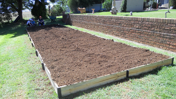 Veggie Garden 1