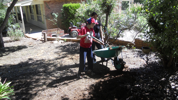 Veggie Garden