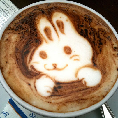 Coffee bunny