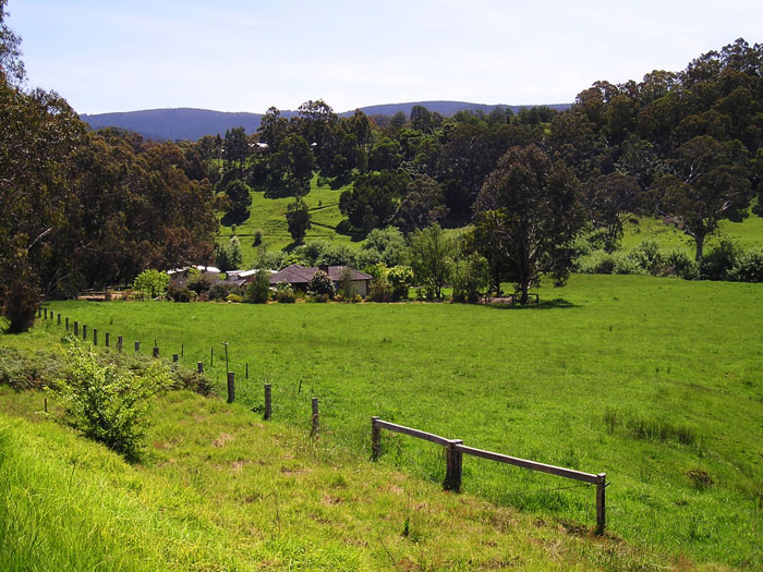 11. Tarravalley, Gippsland.