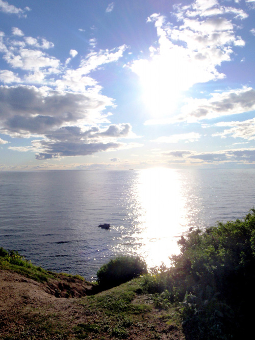 Afternoon sun, Mornington