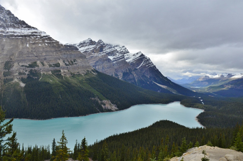 Peyto Lake (3) (640x424)