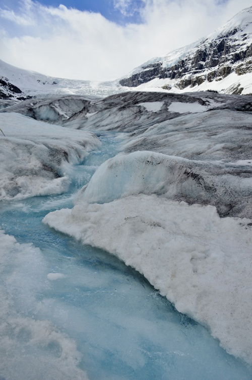 Athabasca Glacier (30) (424x640)