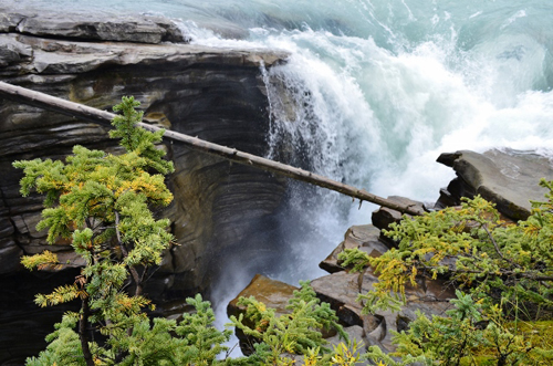 Athabasca Falls (77) (640x424)