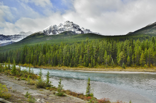 7. Day 8 Jasper to Lake Louise 292 (640x424)