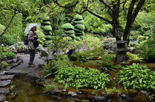 Butchart Gardens (68) (640x424)