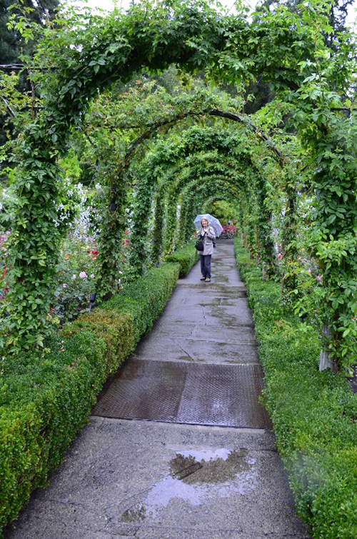 Butchart Gardens (31) (424x640)