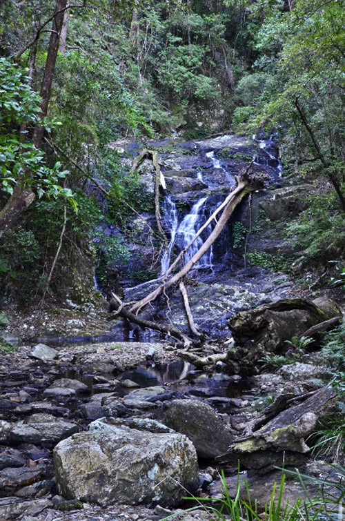 Casuarina Falls (9) (424x640)