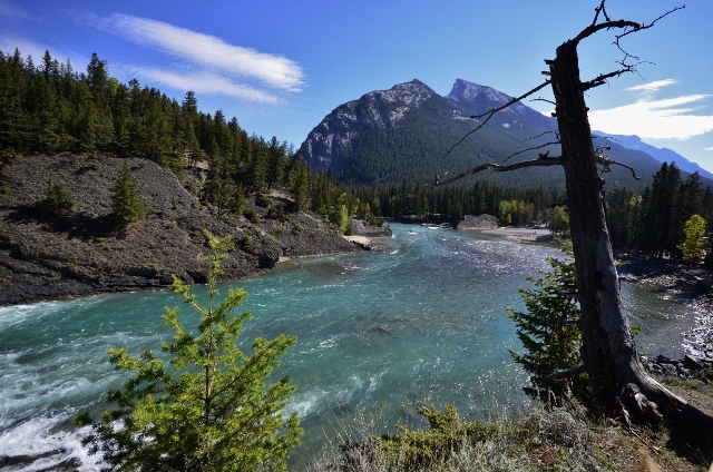 Banff - Bow River Falls (640x424)