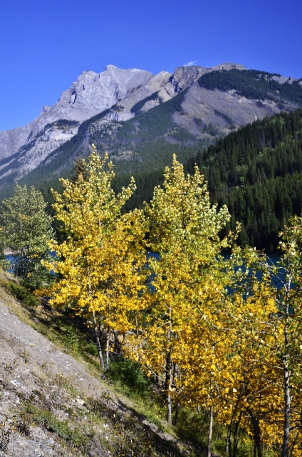 Two Jack Lake (1) (424x640)