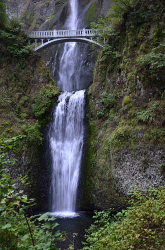 Multnomah Falls (8) (424x640)