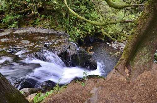 Multnomah Falls (69) (640x424)