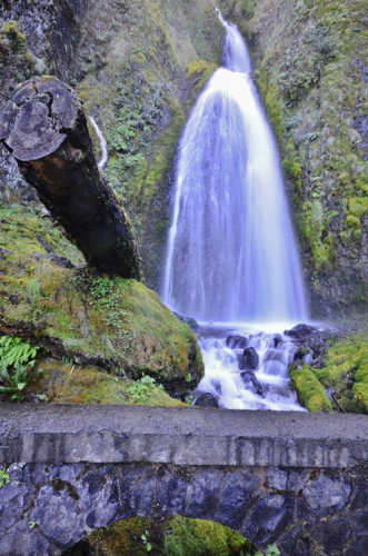 Wahkeena Falls (13) (424x640)