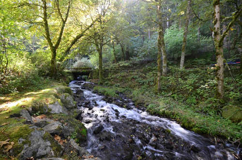 Wahkeena Falls (18) (640x424)