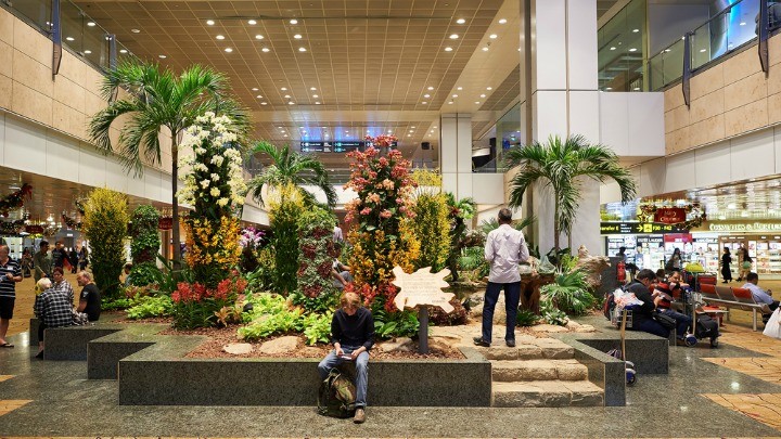 An indoor garden at Singapore's Changi Airport.