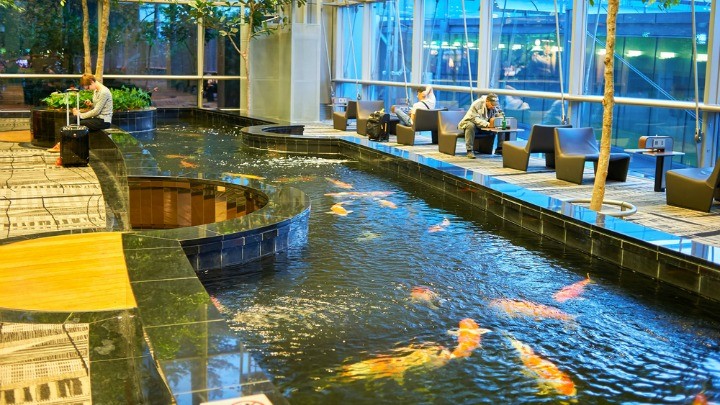 The airport's giant fish pond. 