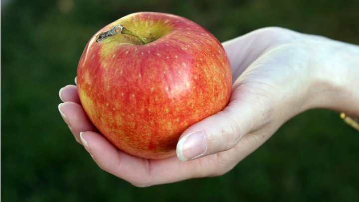 769703_adam_eve_apple Shutterstock