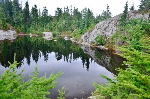 Mount Seymour - Mystery Lake (28) (640x424)