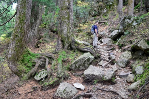 Mount Seymour (41) (640x424)