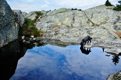 Mount Seymour (138) (640x424)