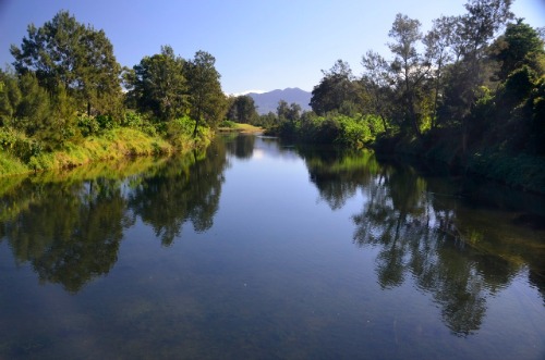 Bellinger River, Bellingen