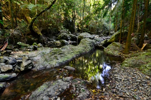 Stony Creek