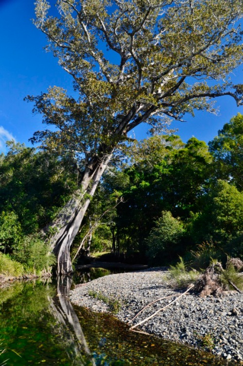 Bellingen 122 (424x640)