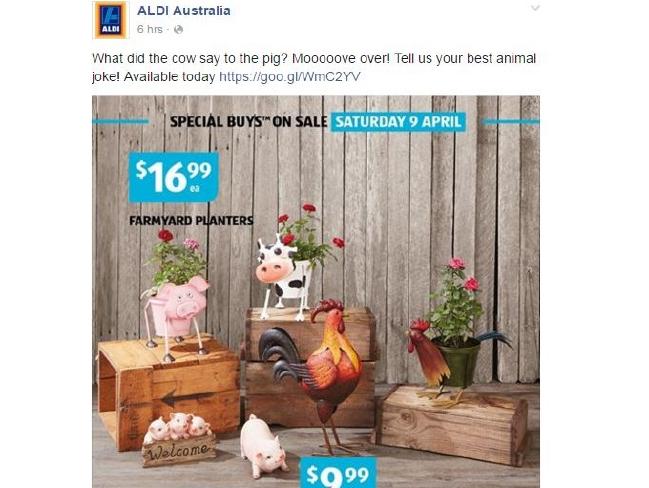 aldi Australia_animals