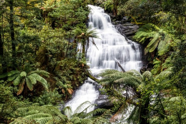 The stunning Triplet Falls. 