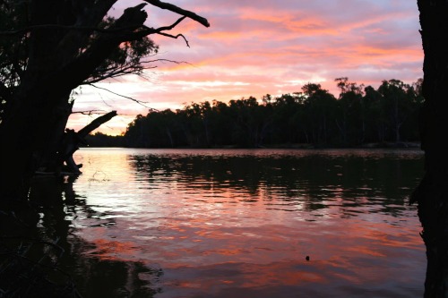 Robinvale, Victoria - submitted by John Reid.