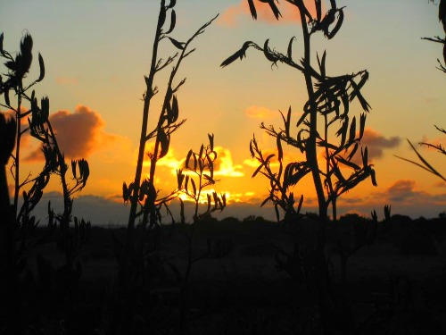 Radiant atmosphere at New Plymouth, New Zealand - submitted by Sue Summerfield.