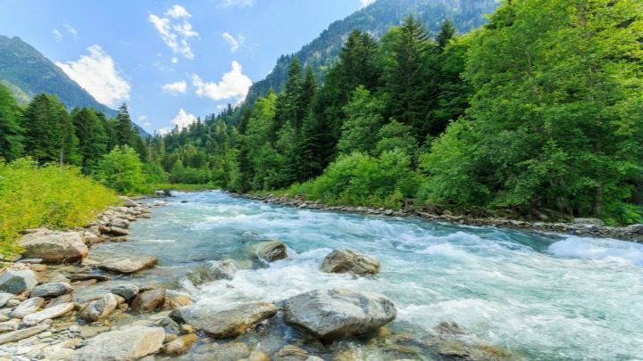 shutterstock_308318048