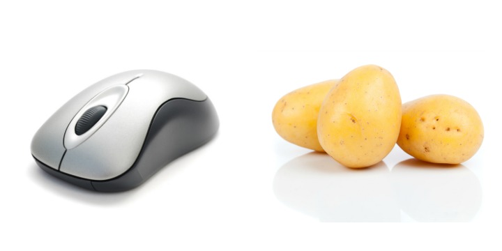 100516_potato mouse